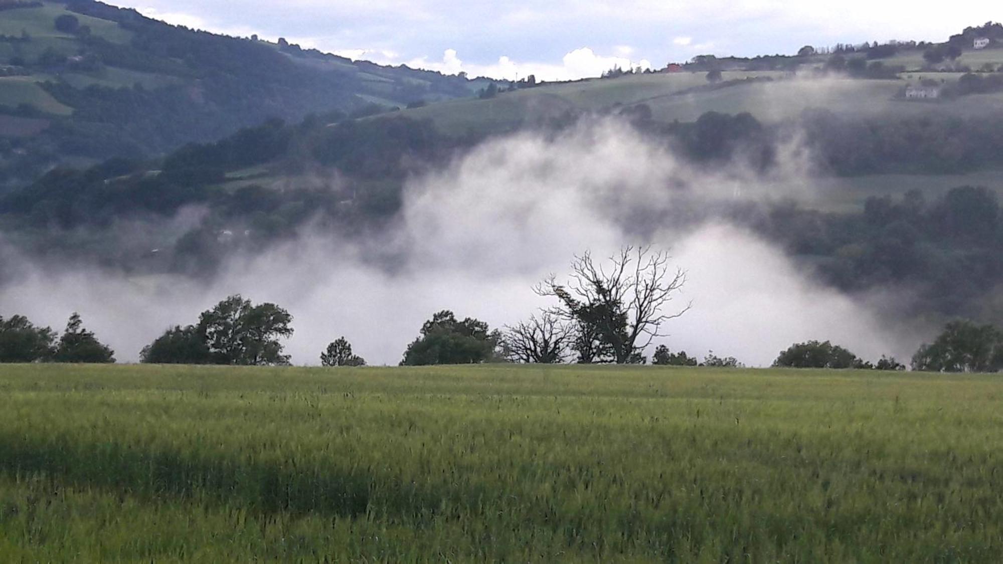 Bed and Breakfast Le Bumbarelle Tavoleto Екстер'єр фото