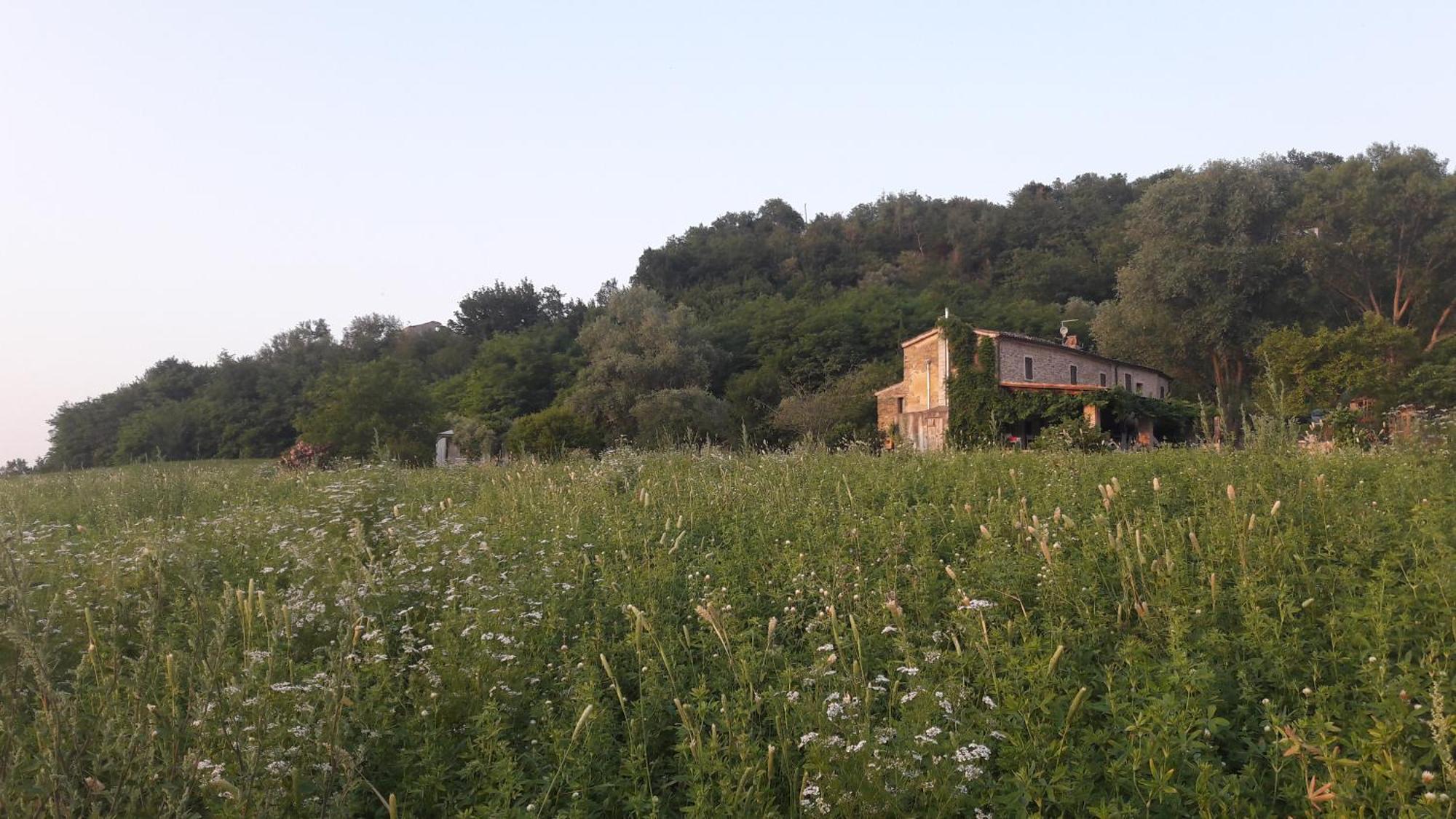 Bed and Breakfast Le Bumbarelle Tavoleto Екстер'єр фото
