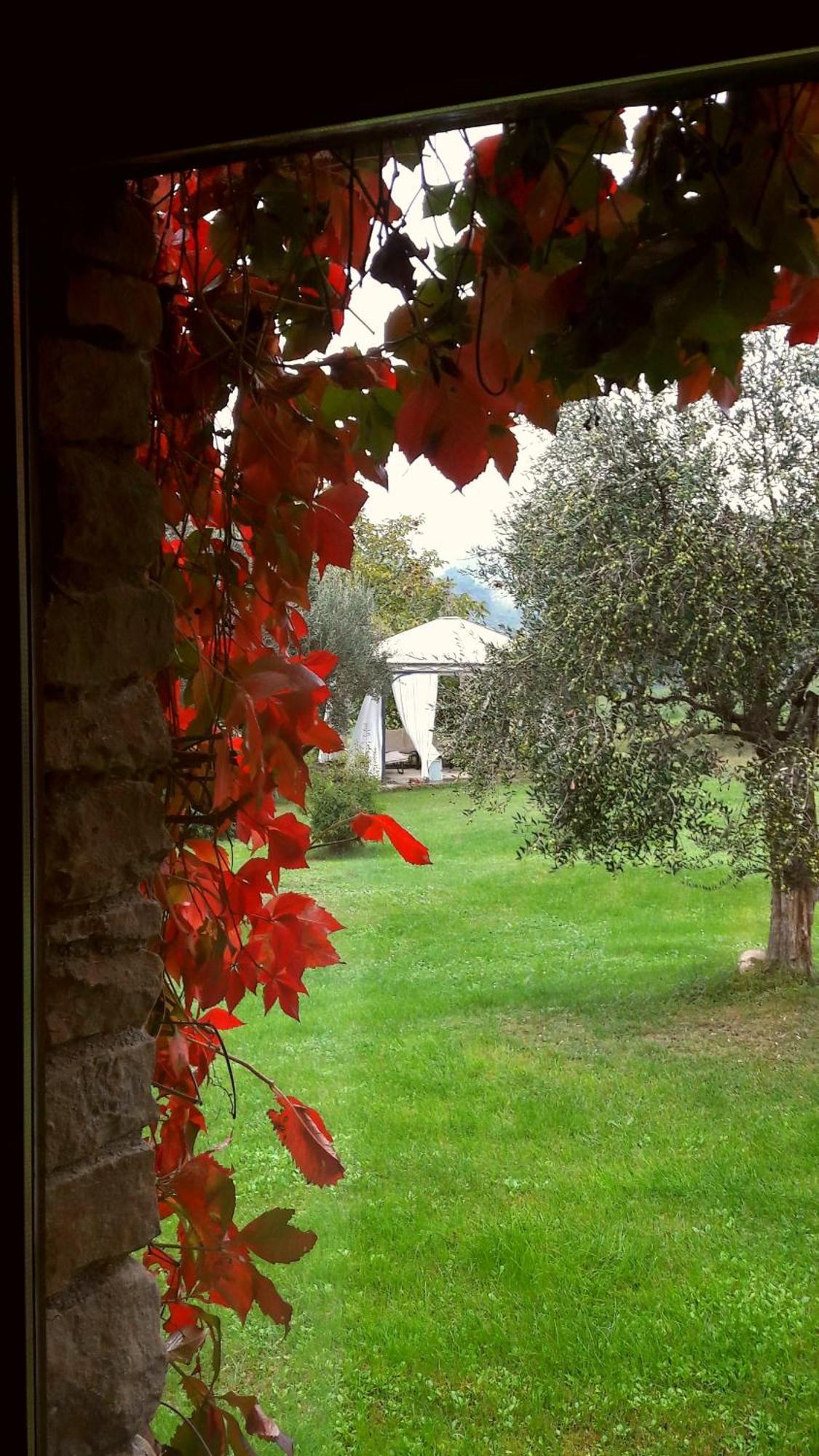 Bed and Breakfast Le Bumbarelle Tavoleto Екстер'єр фото