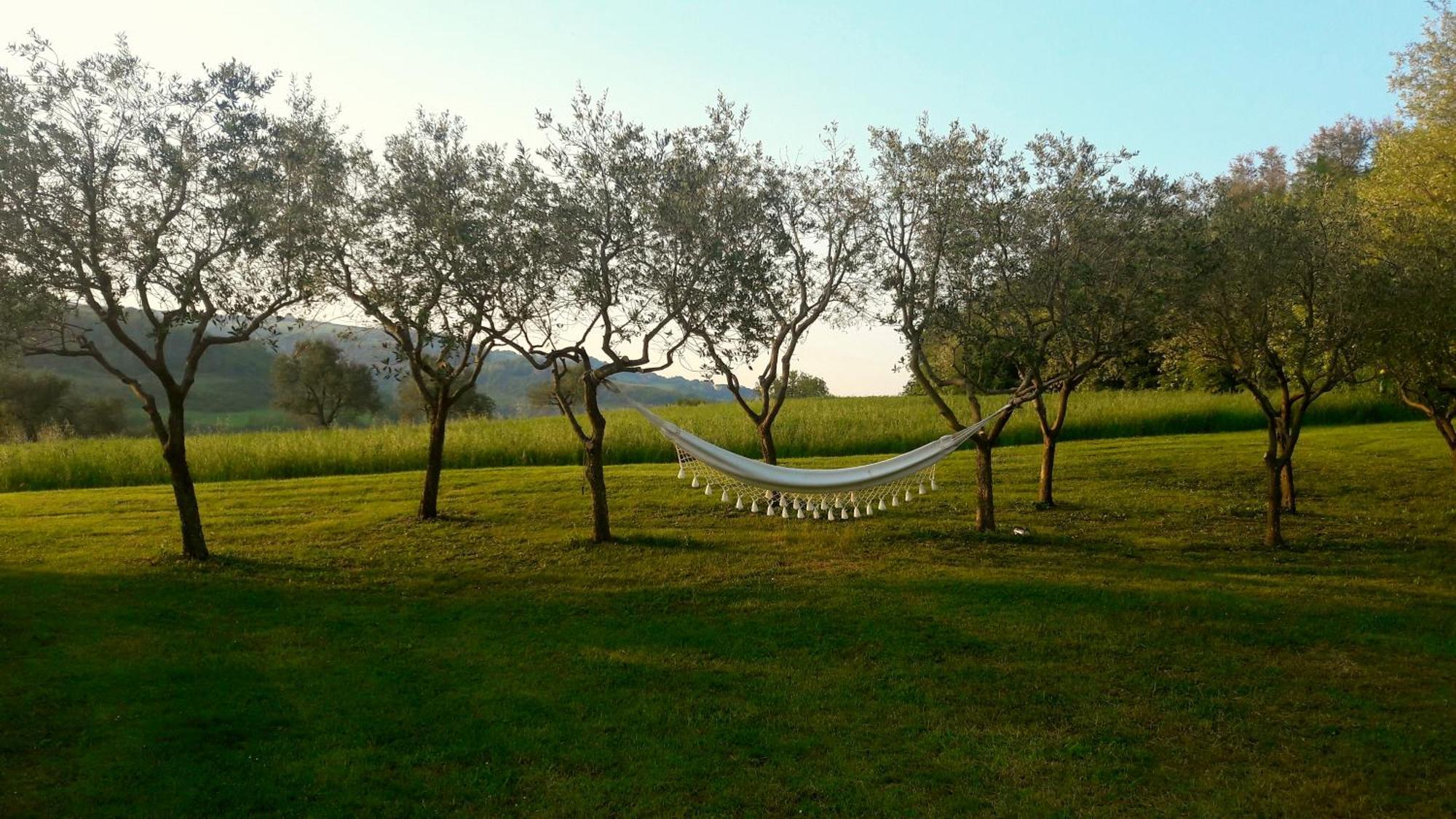 Bed and Breakfast Le Bumbarelle Tavoleto Екстер'єр фото