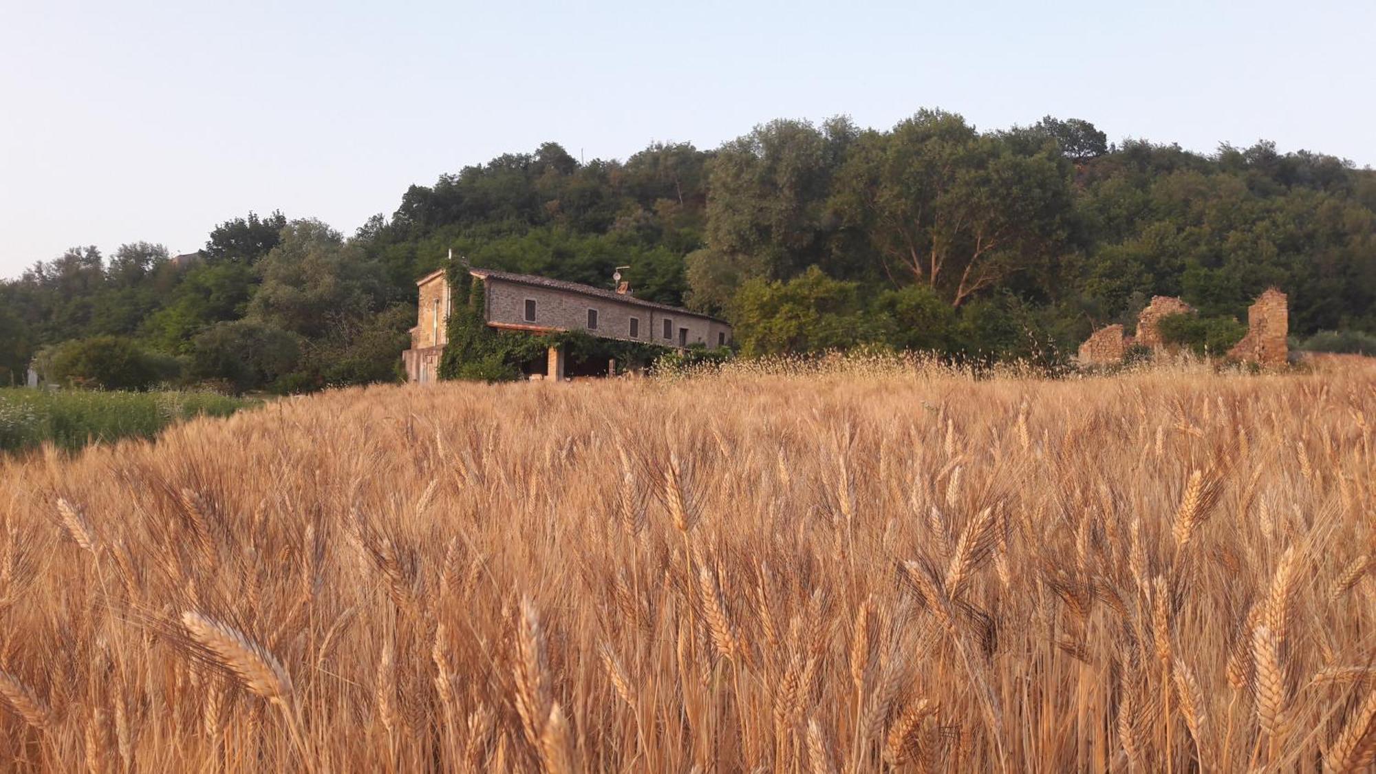 Bed and Breakfast Le Bumbarelle Tavoleto Екстер'єр фото
