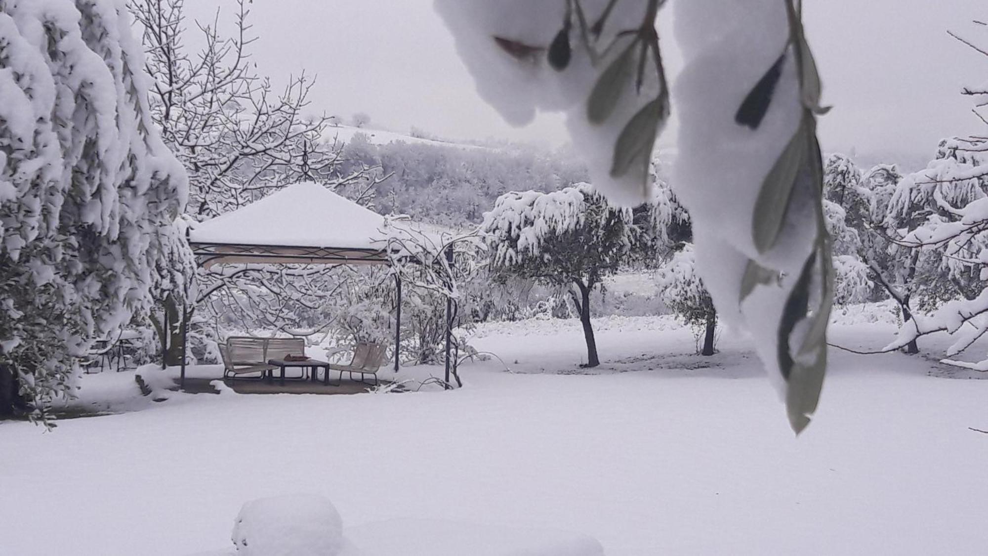 Bed and Breakfast Le Bumbarelle Tavoleto Екстер'єр фото