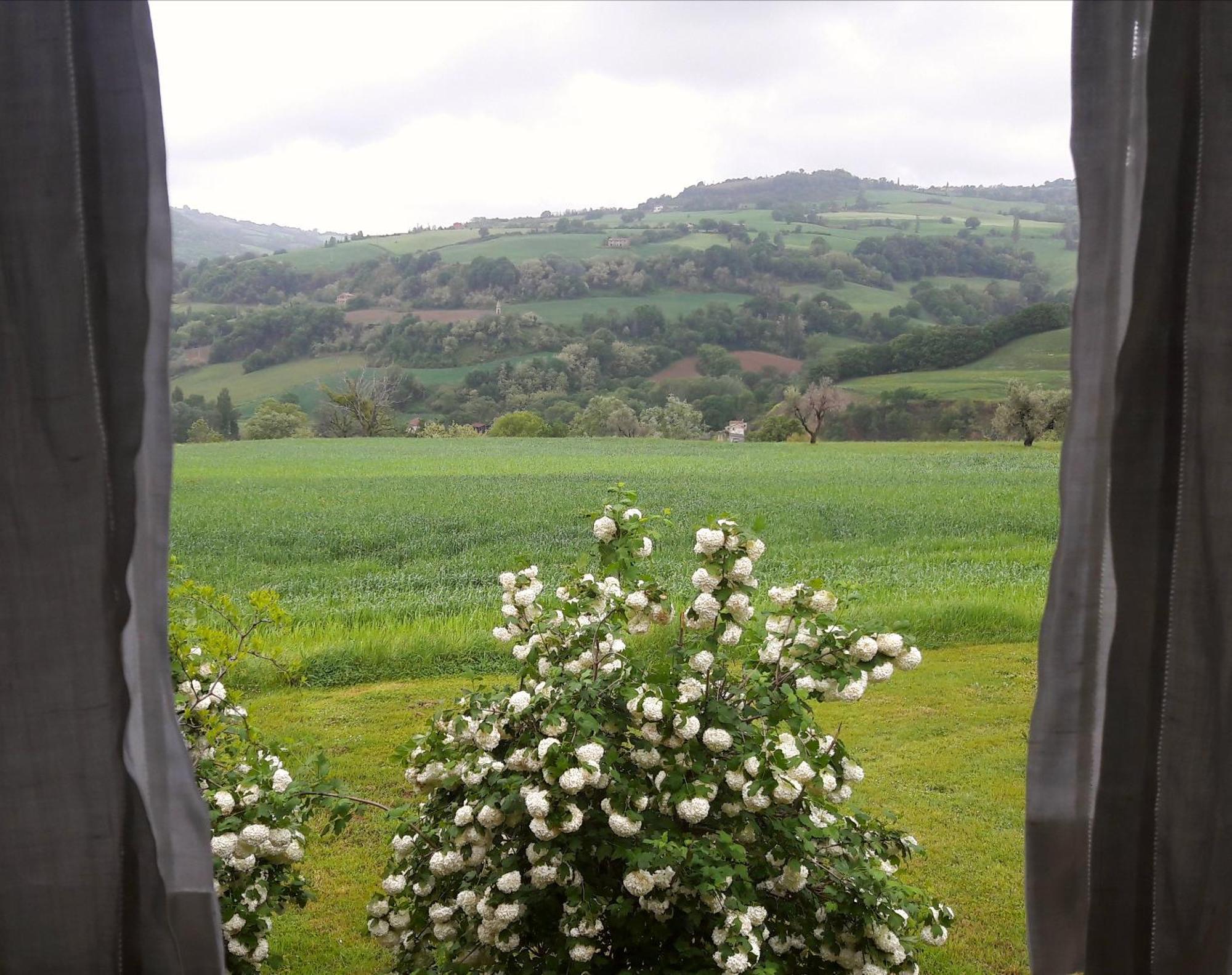 Bed and Breakfast Le Bumbarelle Tavoleto Екстер'єр фото