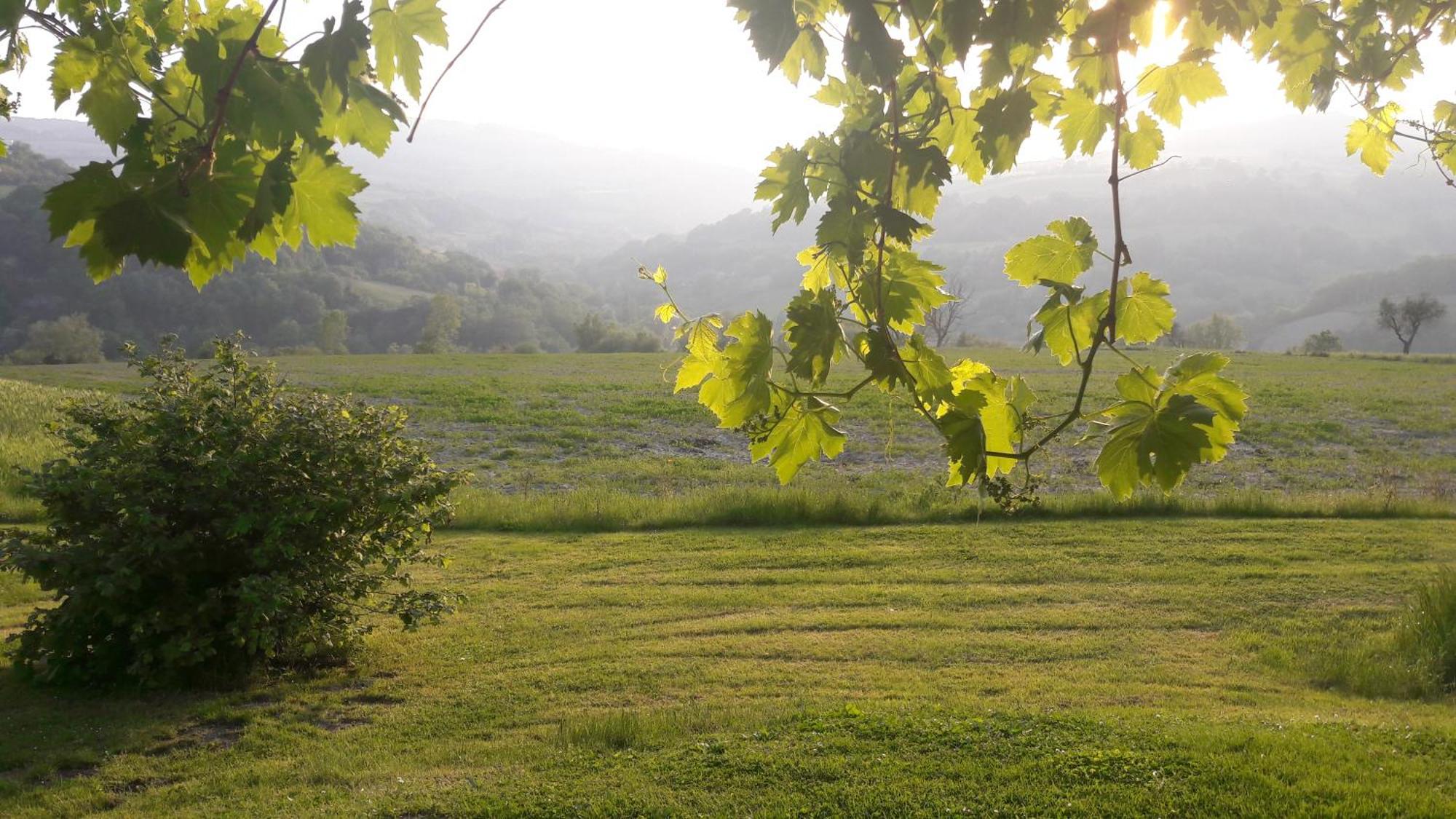 Bed and Breakfast Le Bumbarelle Tavoleto Екстер'єр фото