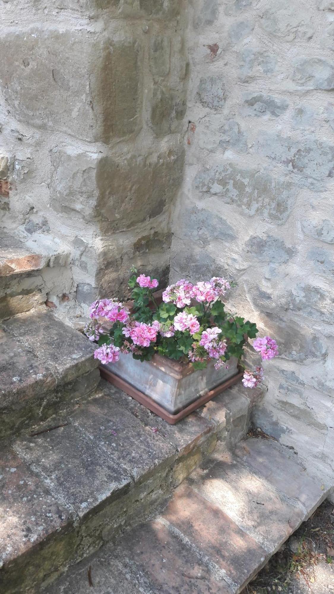 Bed and Breakfast Le Bumbarelle Tavoleto Екстер'єр фото