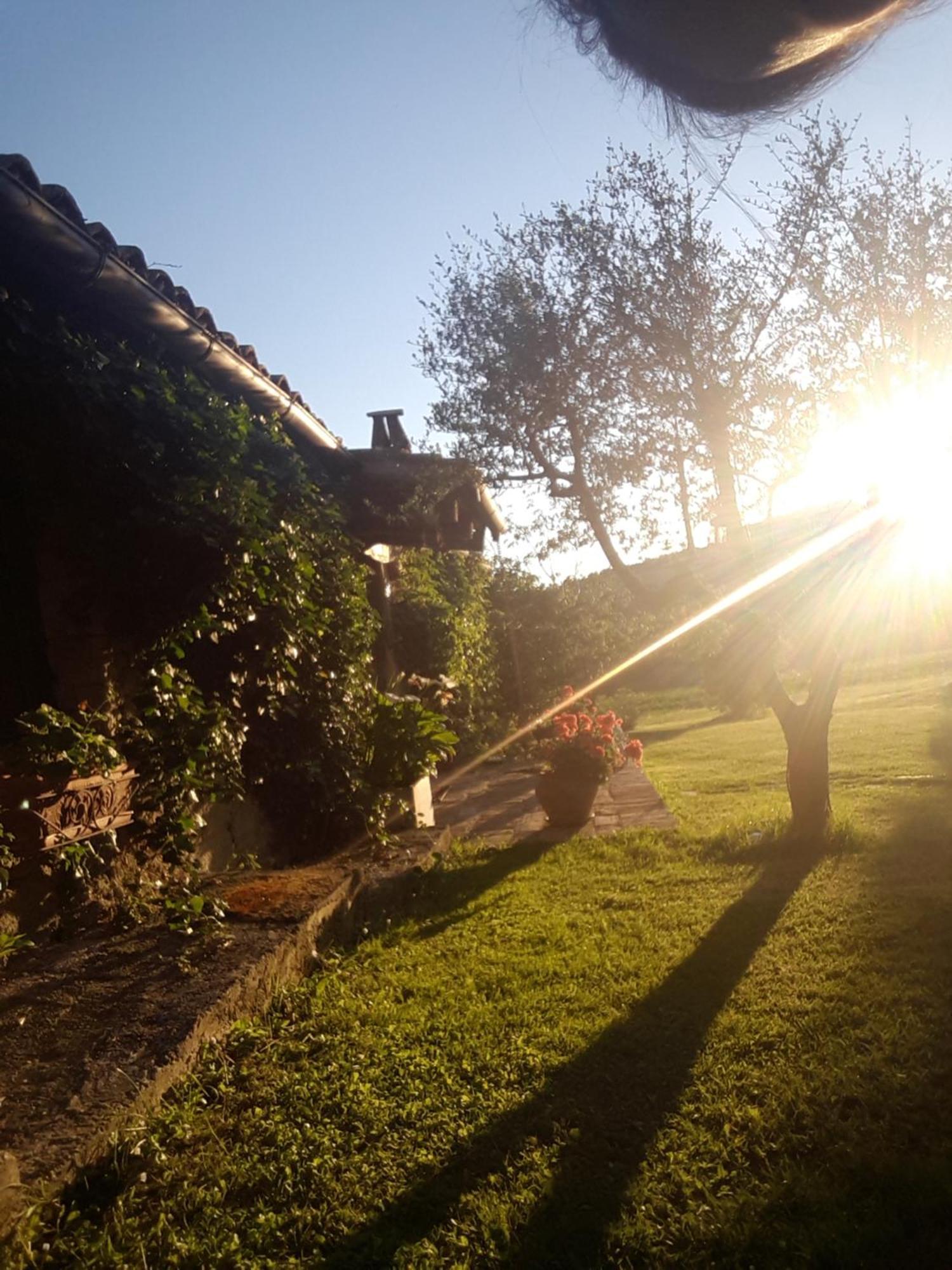 Bed and Breakfast Le Bumbarelle Tavoleto Екстер'єр фото