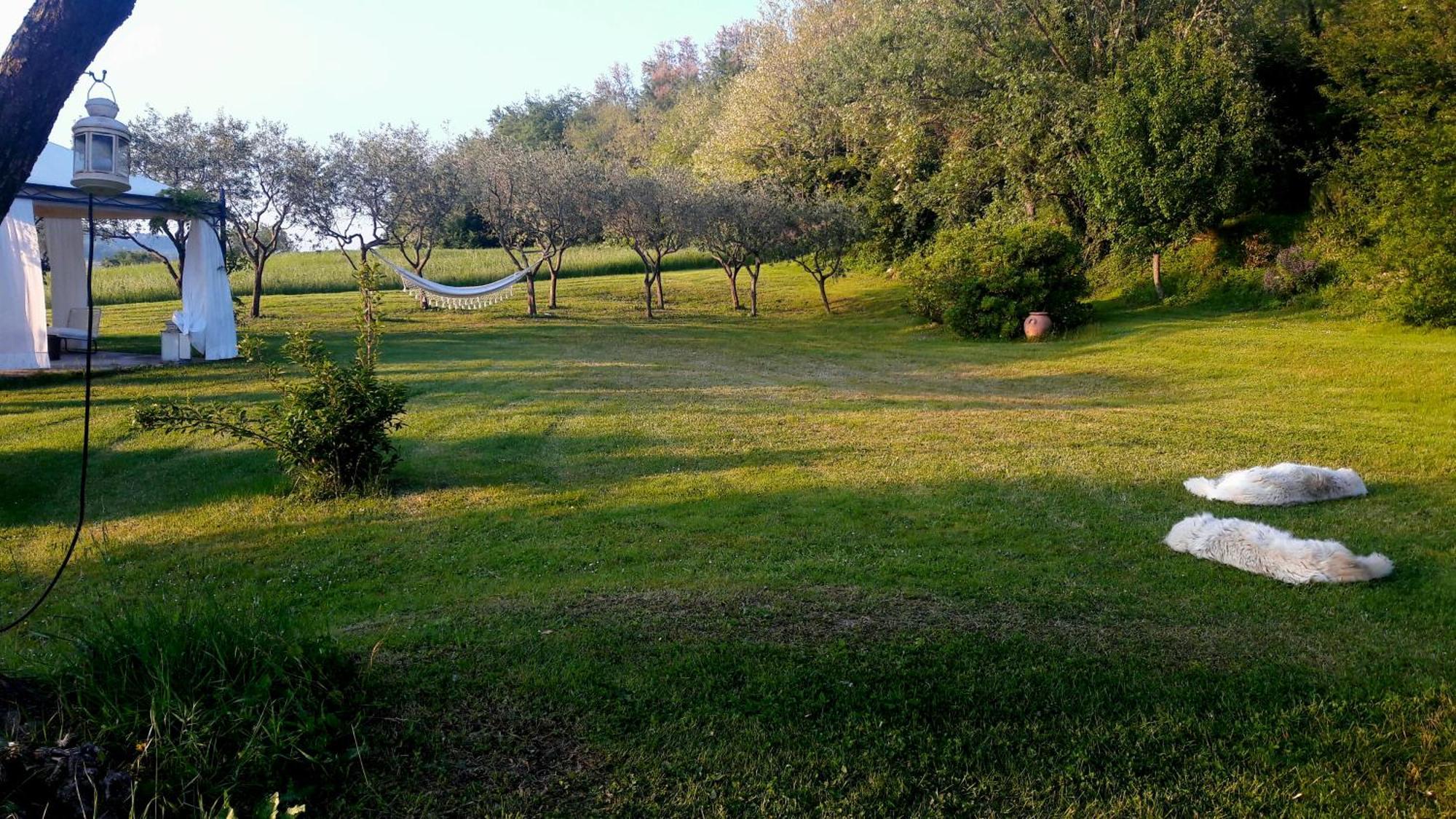 Bed and Breakfast Le Bumbarelle Tavoleto Екстер'єр фото
