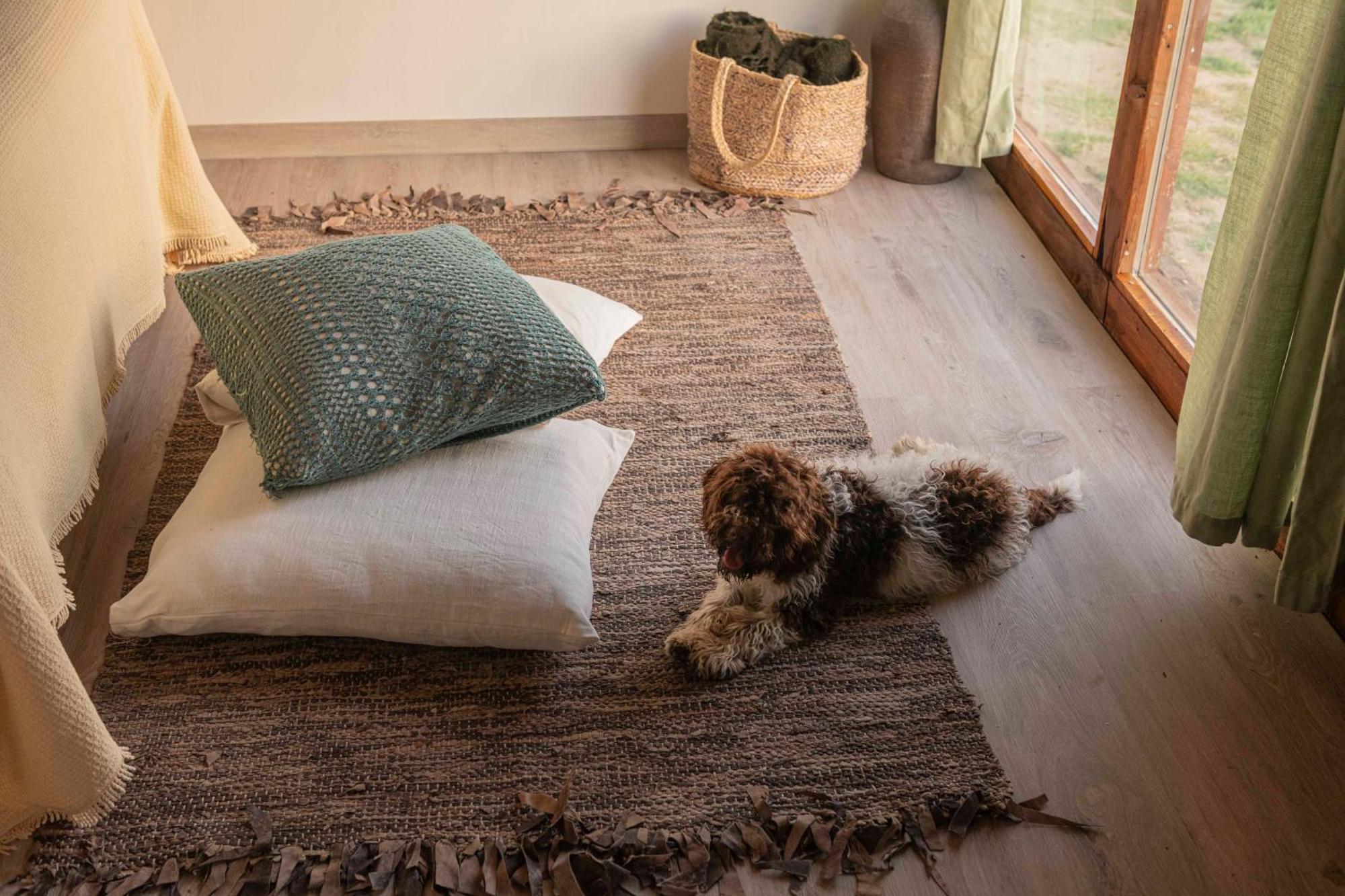 Bed and Breakfast Le Bumbarelle Tavoleto Екстер'єр фото