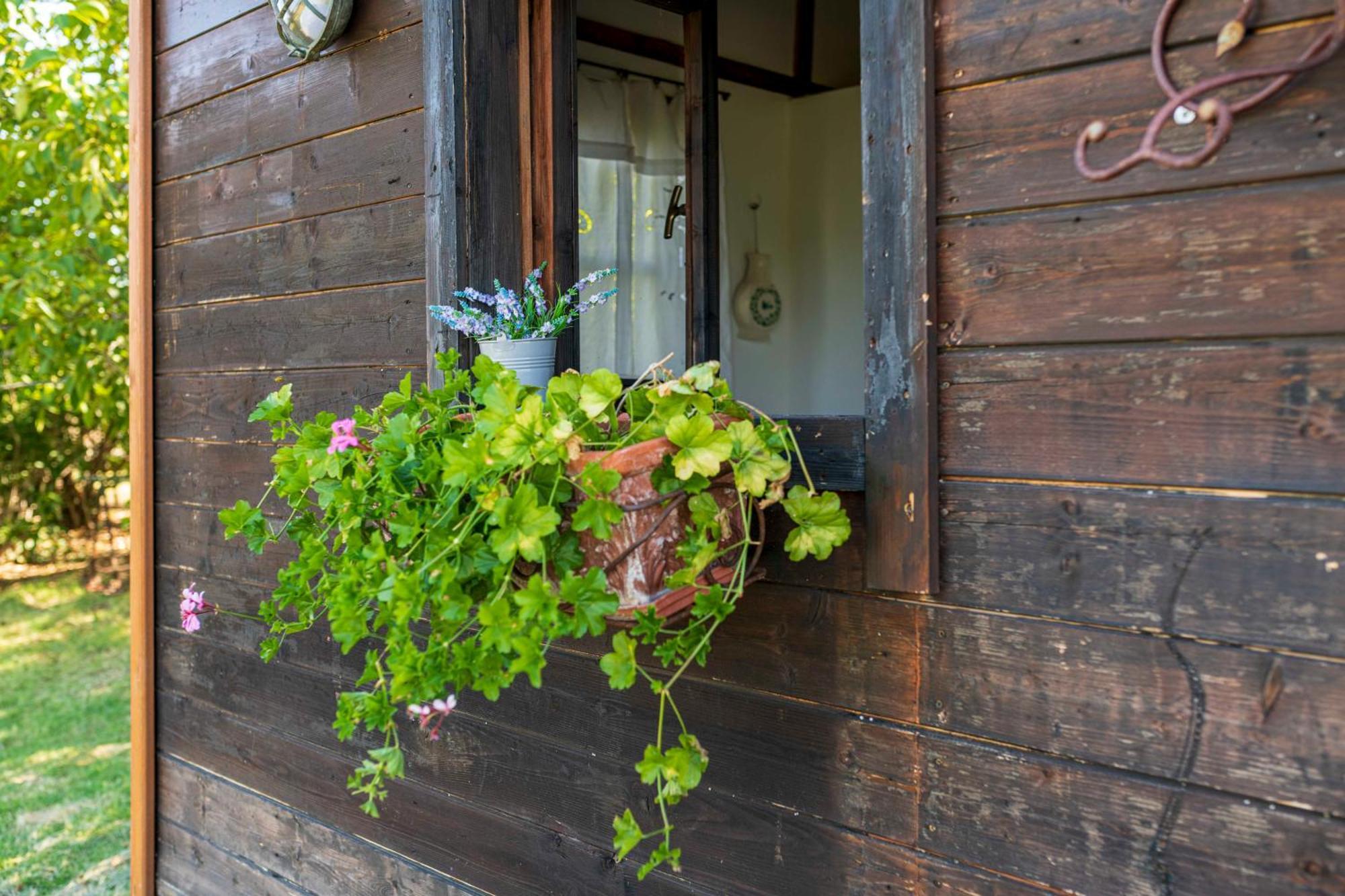 Bed and Breakfast Le Bumbarelle Tavoleto Екстер'єр фото