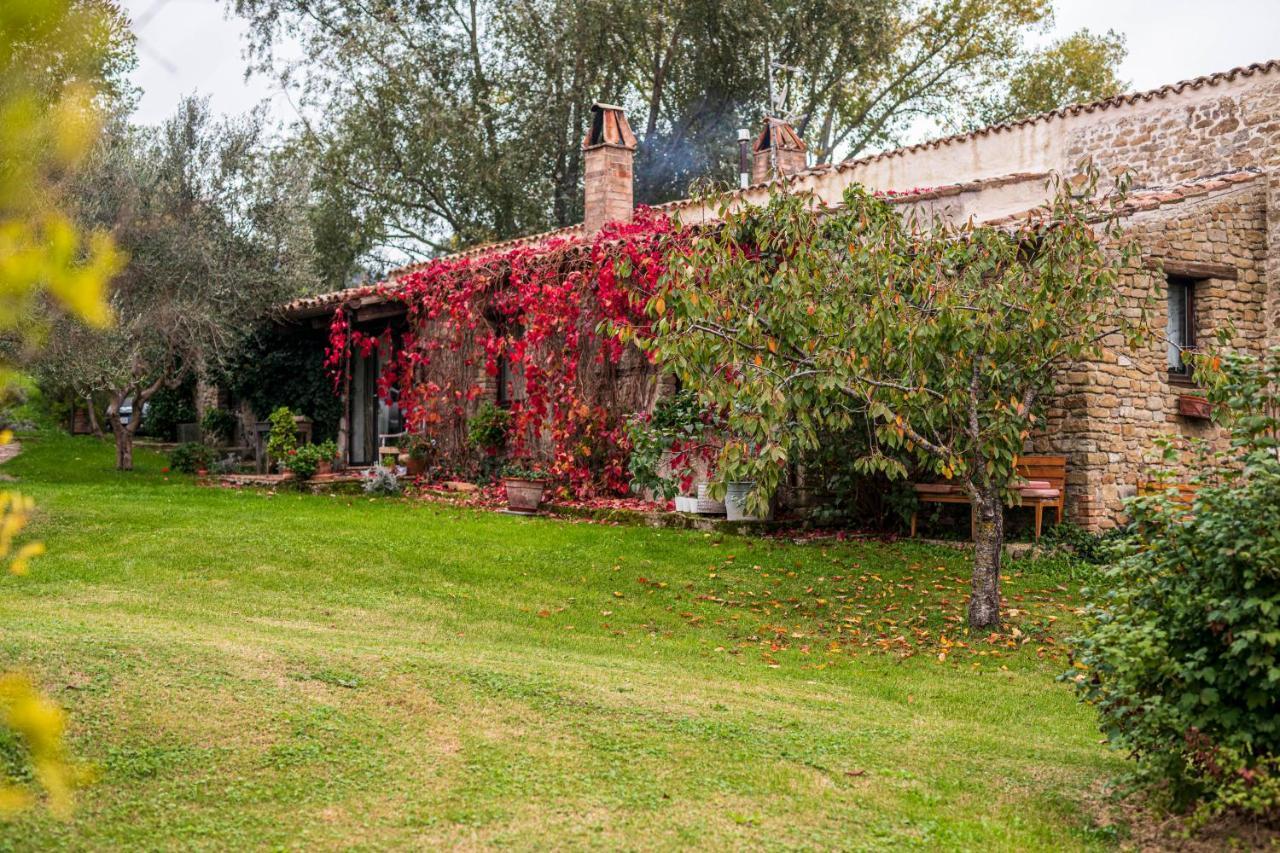 Bed and Breakfast Le Bumbarelle Tavoleto Екстер'єр фото